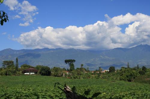 Villa Flor Blanca el Eden