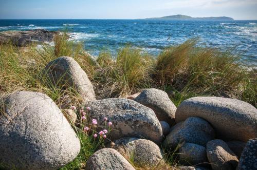 Cottage 215 - Claddaghduff - image 14