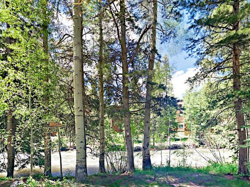 Creekside Townhouse #300 - image 9