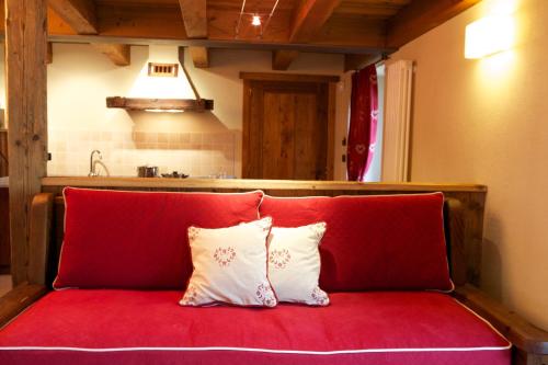 Le Petit Coeur Residence De Montagne - image 2