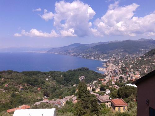 B&B I Glicini 5