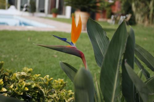 Hotel Oasis - image 4