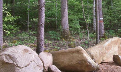 White Oak Lodge And Resort Cabin #212 - image 2