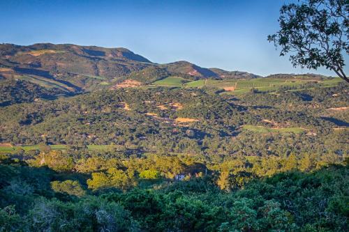 Valley-View Designer Sonoma Estate - image 3