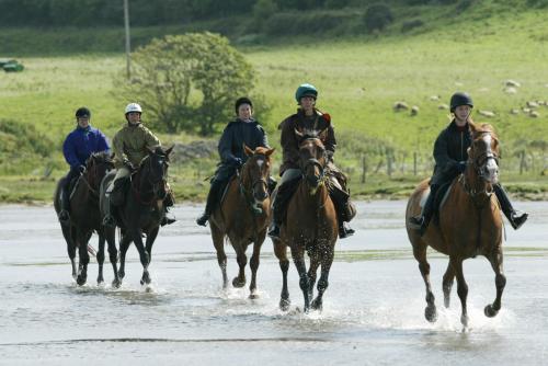 Sligo Southern Hotel - image 11