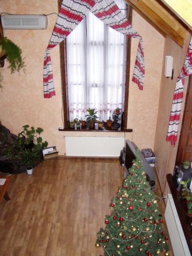 Prutets Guest House - image 6