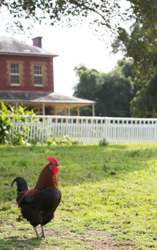 The Barracks, Tocal