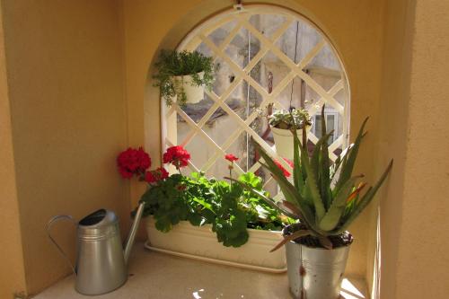 Le Terrazze - image 11