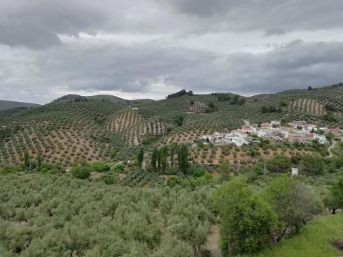 El Almendro De La Tia Teresa