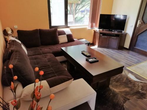 Guesthouse Vanessa - image 8