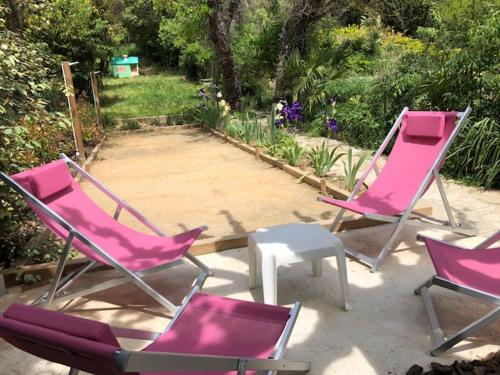 Aniane Maison Renovee avec Jardin et Boulodrome