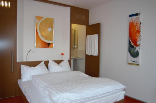 Orange Wings Krems - image 10