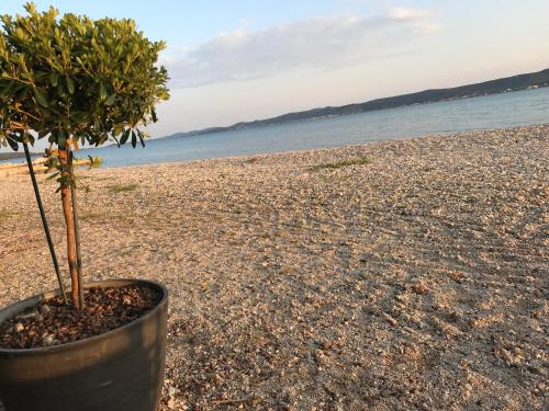 APARTMANI LIVK