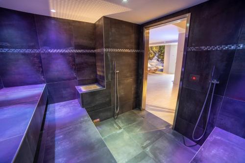 Caminetto Mountain Resort - image 4