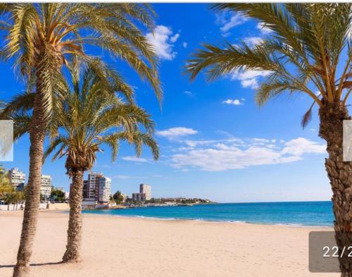 Apartamento en la Playa San Juan Benancantil - image 8