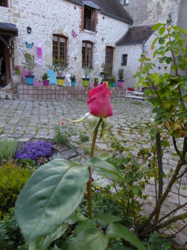 Le ptit paradis gîte à louer Le Plessis