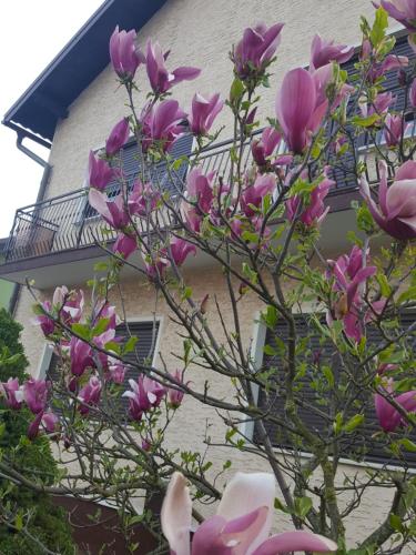  Apartmani Grlice II in Varaždin