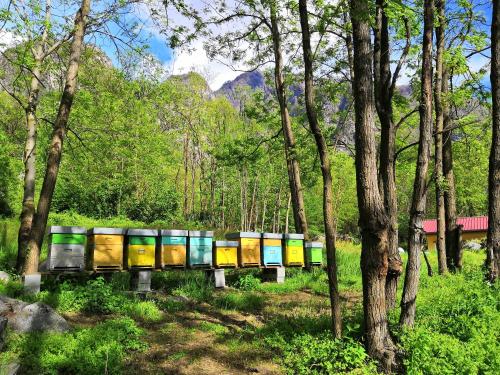  Agriturismo Val Codera, Verceia bei Cresciasca