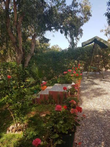 Location Vacances Casablanca Tamaris, Casablanca (photo 10)