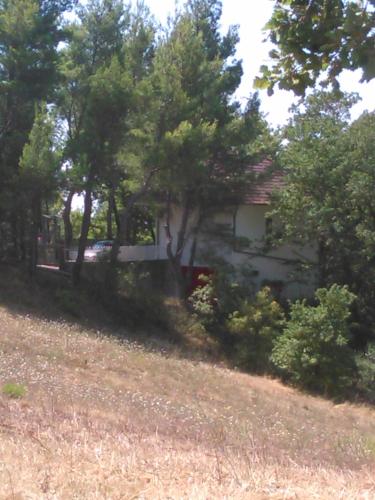  Casa Vacanze Ciaburri in Montecorvino Rovella