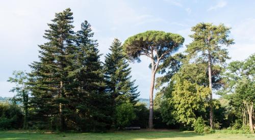 Château de Montcaud - image 6
