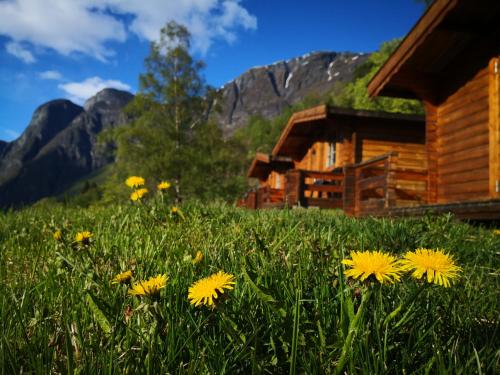 Viesnīcas āriene, Winjum Cabin Aurland Stegastein in Aurland