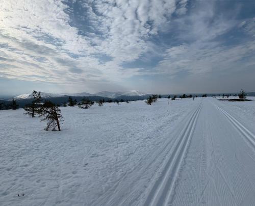 周邊環境, Starflower of Yllas in 易拉斯加威