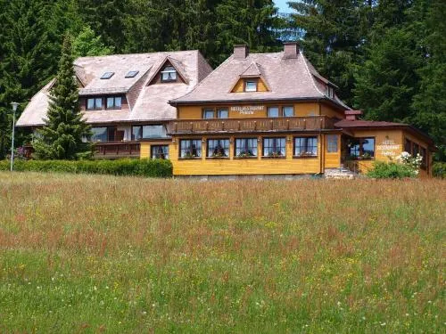 Hotel Restaurant Peterle in Feldberg Schwarzwald, Deutschland