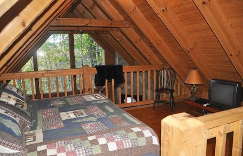 Mountain Bearadise Cabin - image 5