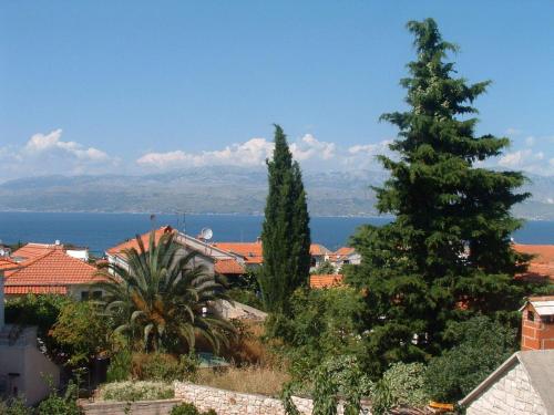  Apartments Silvana - economy in Supetar