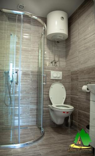 vila borova 2 - image 5