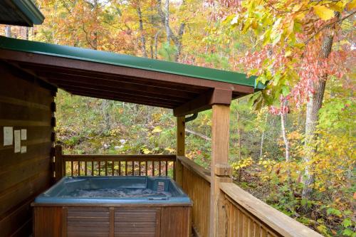 Southern Nites Sevierville Cabin - image 8