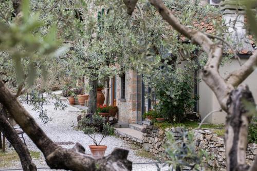 Agriturismo Il Calesse