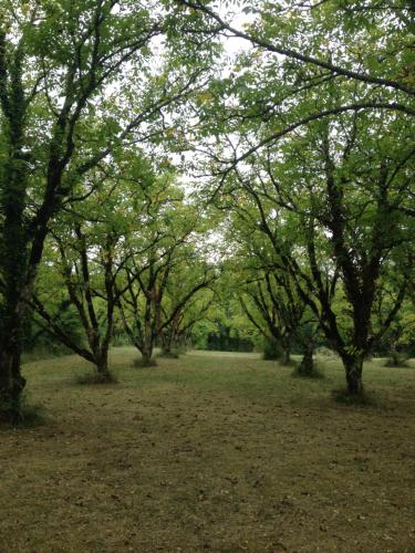 Domaine du Bouysset