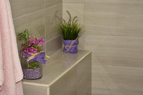 Apartment Pepina - image 8