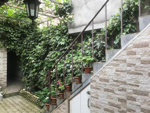 B&B NaBaDa – Kutaisi, IN
