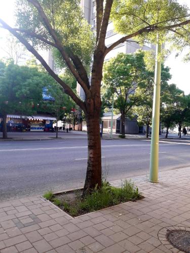 Centrum apartman in Szolnok