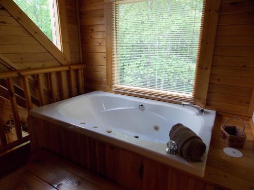 Windy Ridge Cabin - image 2