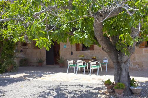 Villa Sa Vinya des Compte