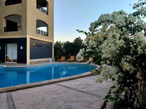 Apartments In Almaz Plaza In Hurghada Egypt Reviews Prices