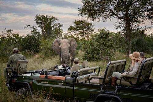 Attractions, Royal Malewane in Thornybush Game Reserve