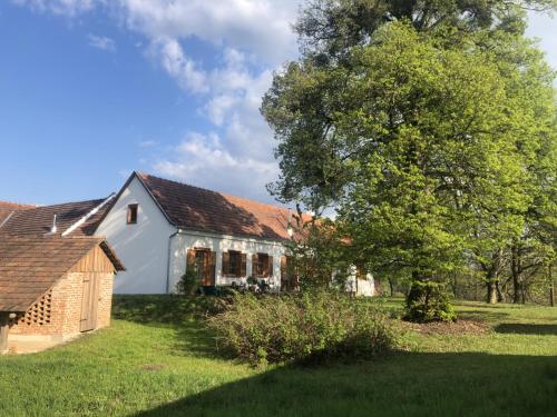 Accommodation in Limbach im Burgenland