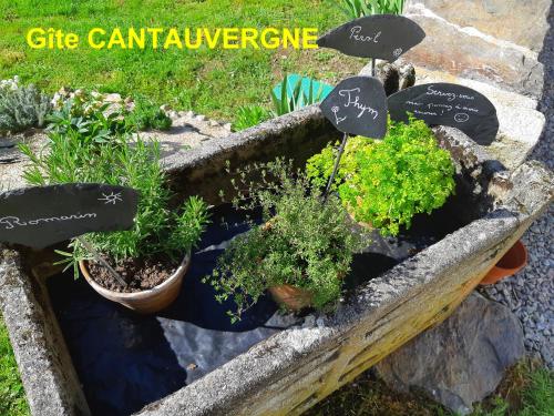 Gite CANTAUVERGNE