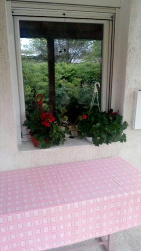 貝爾格勒 Anni 3星级 民宿 外观