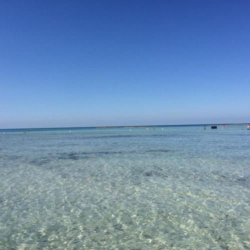 Hyencos Hotel Calos - image 10