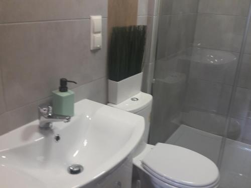 Dobranocka - pokoje i całoroczne domki blisko Energylandii - image 6