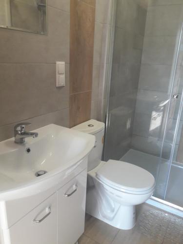 Dobranocka - pokoje i całoroczne domki blisko Energylandii - image 11