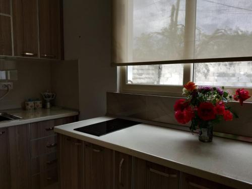 Olive B&B – Berat, IA