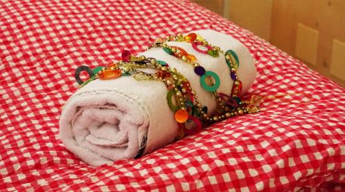 Adventure Hostel Interlaken - image 11