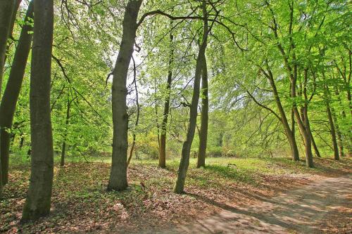 Ferienwohnung Malchow SEE 4902